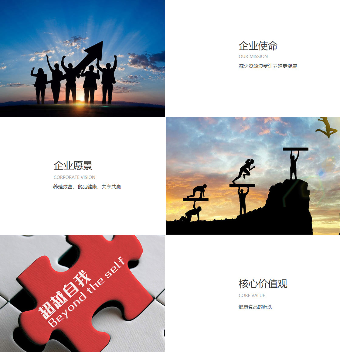 美高梅mgm最新网站(图1)